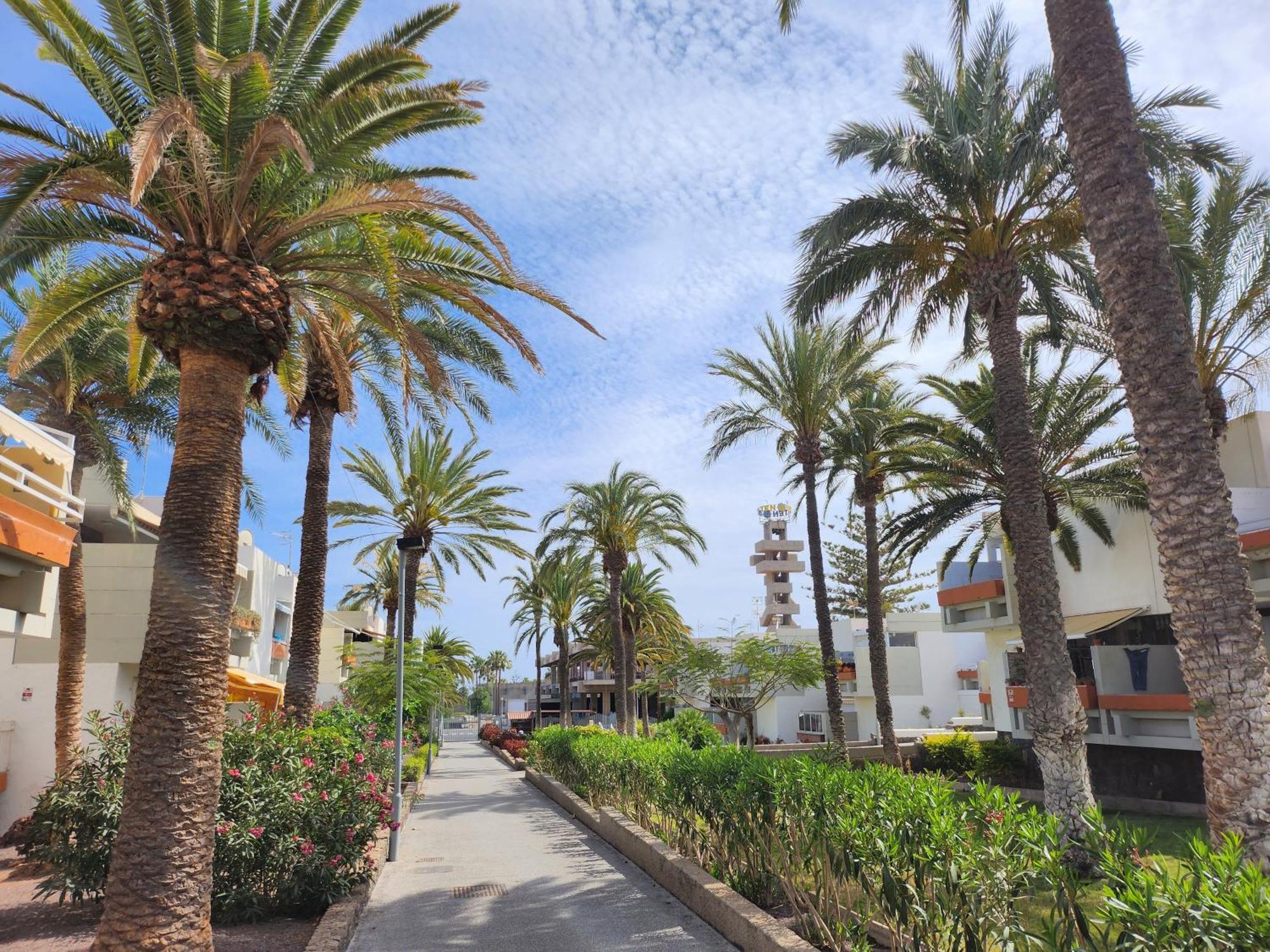 Tenerife Sunshine South Apartment Beach By La Ballena Arona  Exterior photo