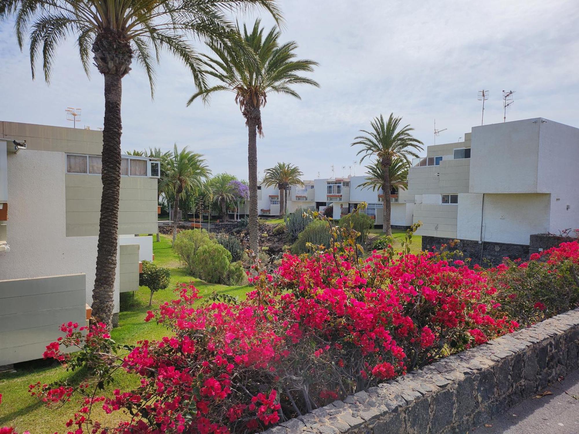 Tenerife Sunshine South Apartment Beach By La Ballena Arona  Exterior photo